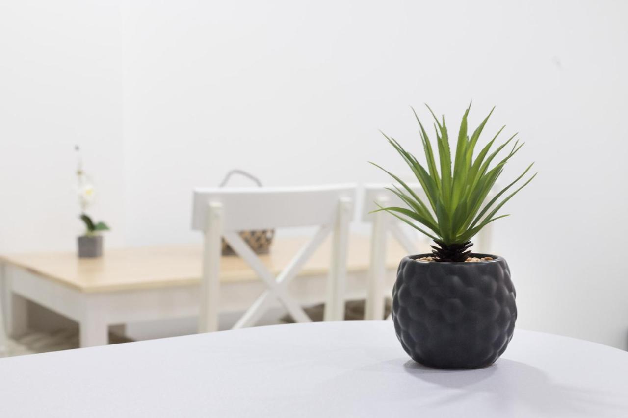 Moonkey - Apartamento Amaralba A Alicante Exterior photo